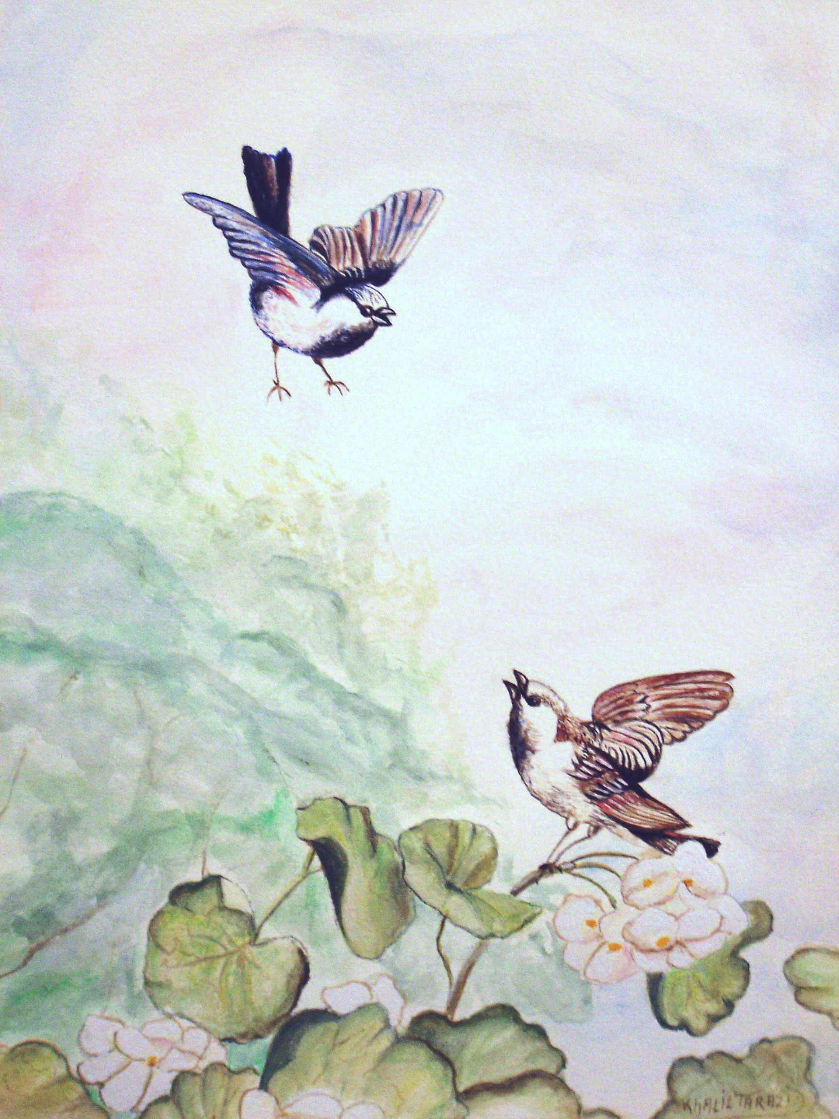 Watercolor – Birds