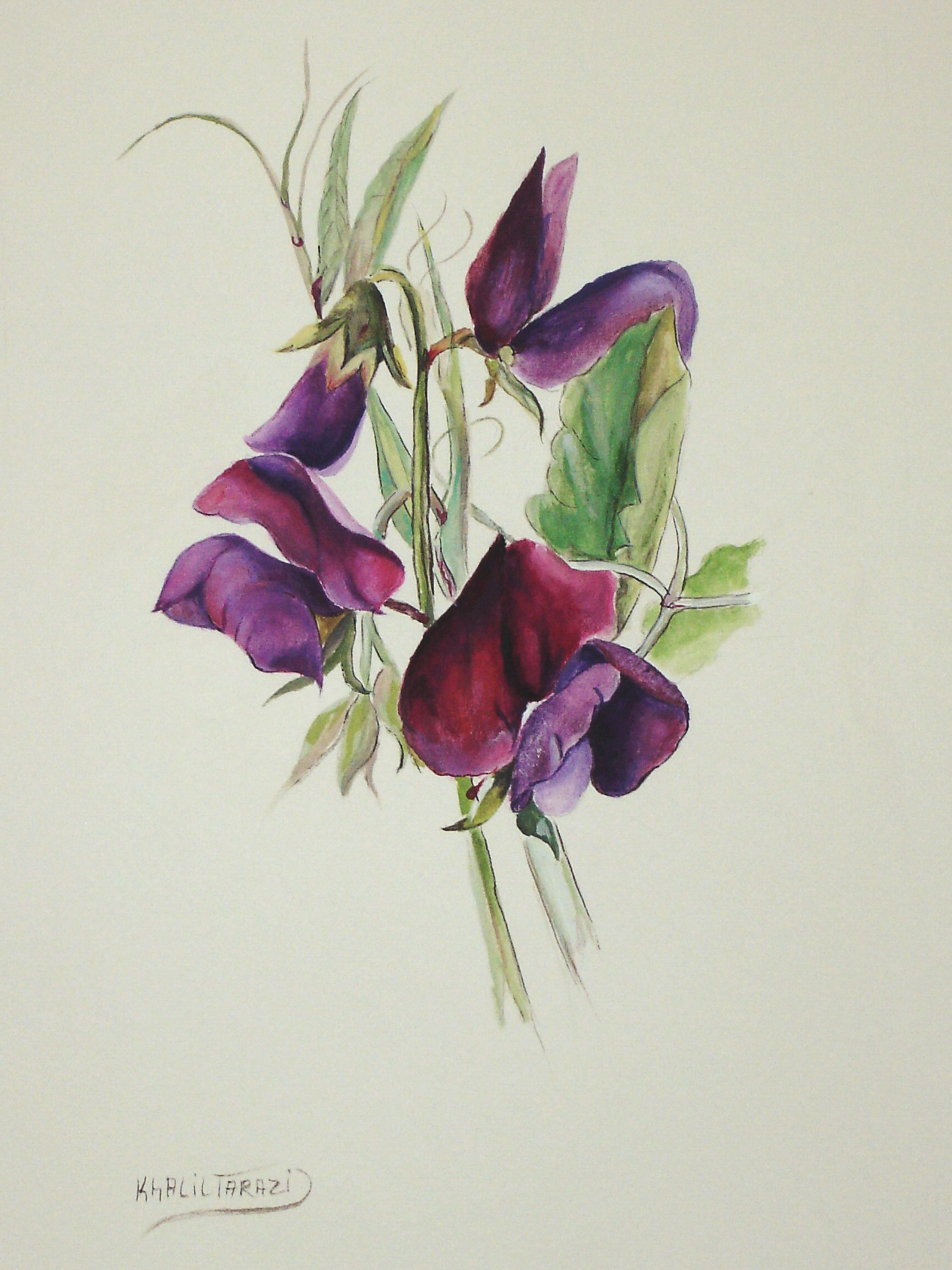 Watercolor – Flowers